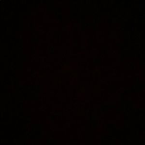 Meet your Posher, Bella